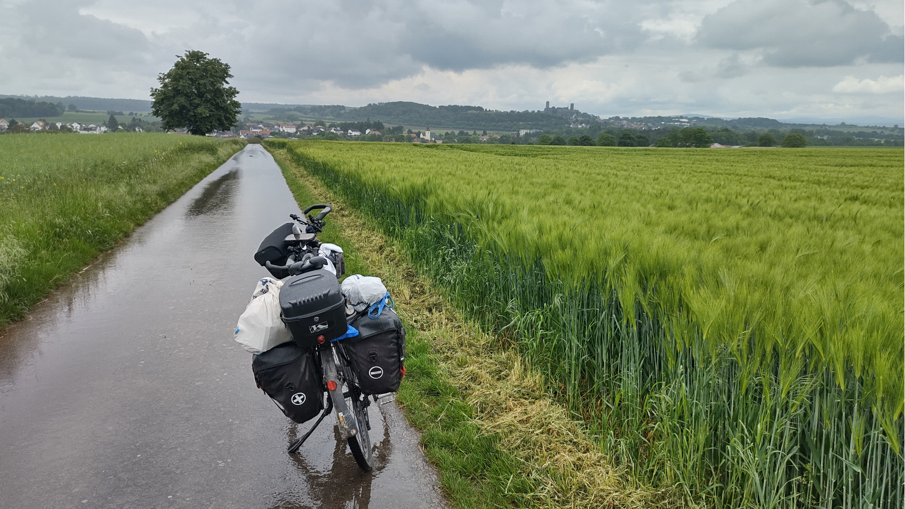 IMG_20240518_130157189_HDR