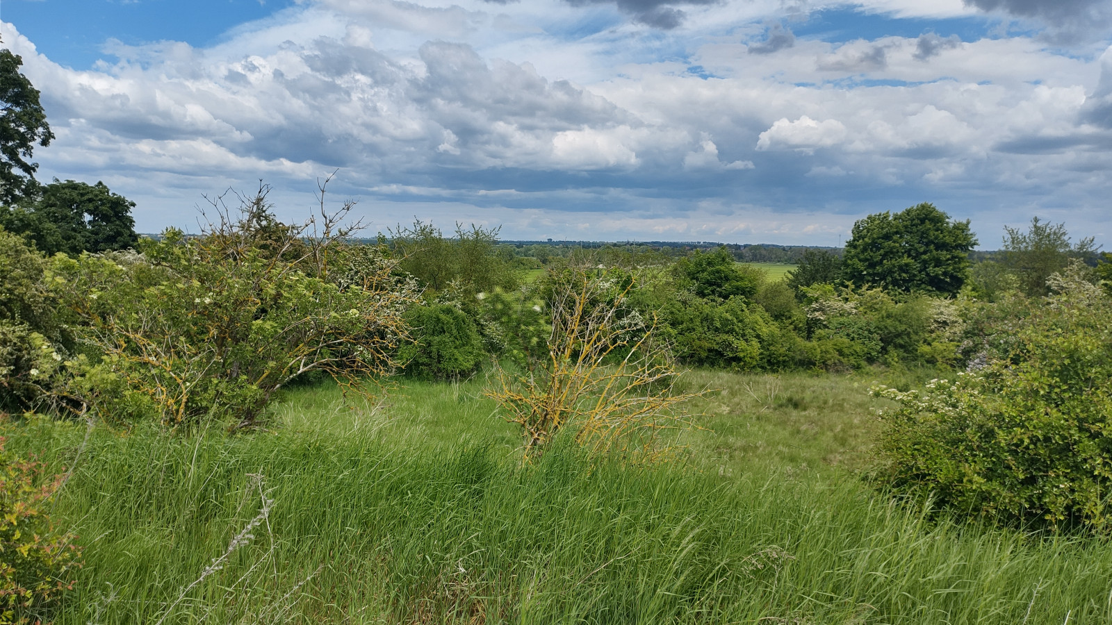 IMG_20250517_134104571_HDR