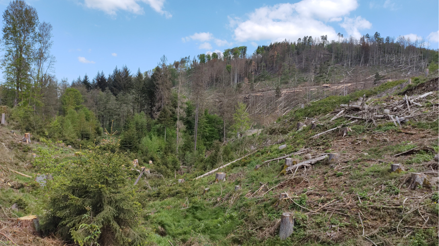 IMG_20240509_112924108