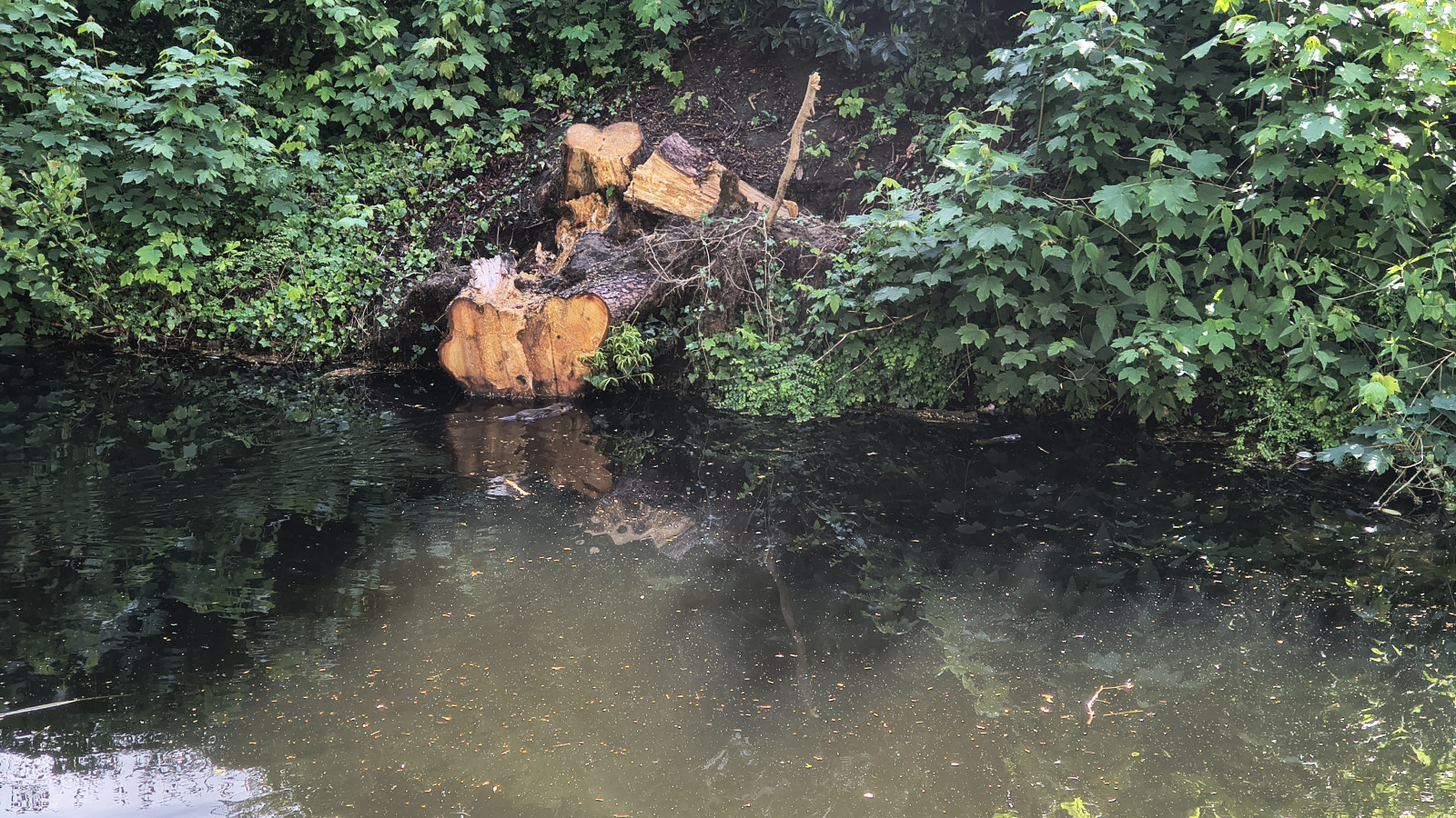 IMG_20250523_101012561_HDR