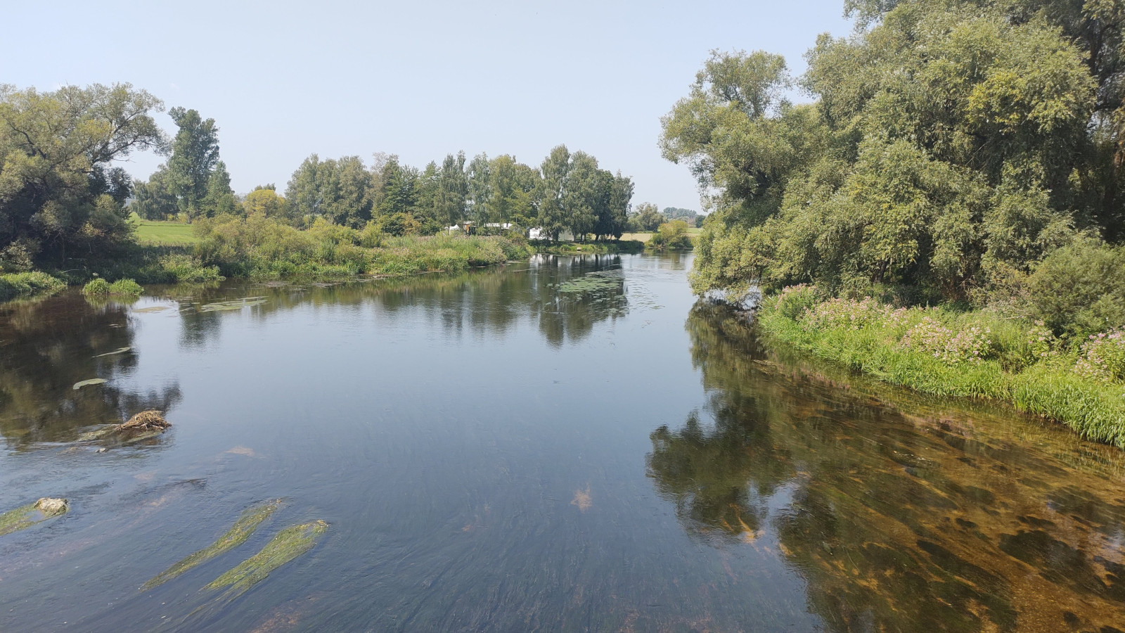 IMG_20250812_133900900