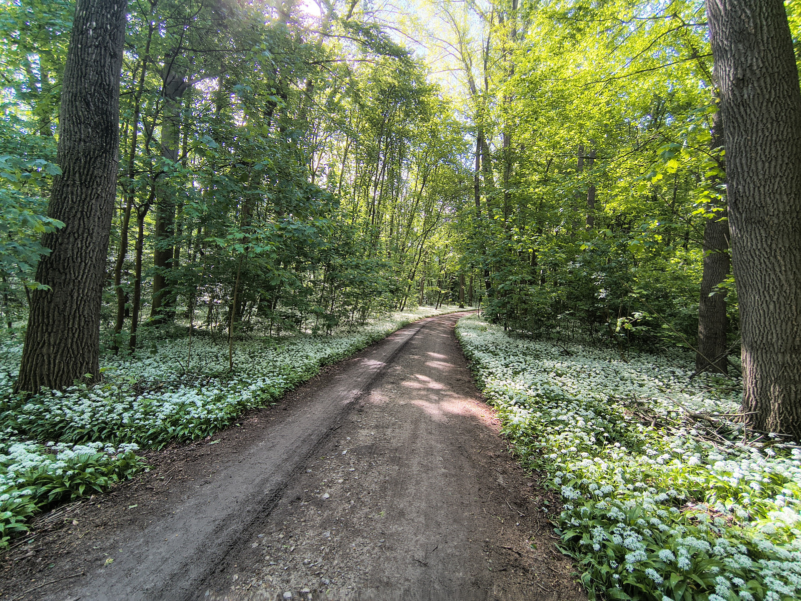 IMG_20260515_100026231_HDR