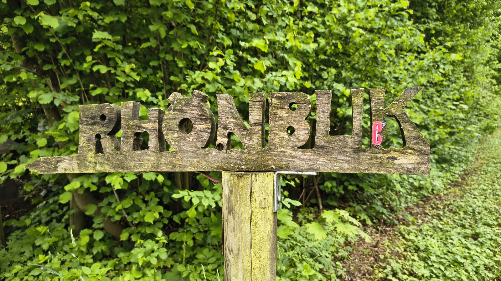 IMG_20250529_104451135_HDR