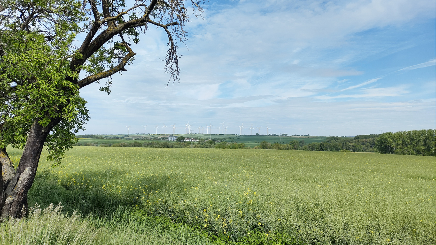 IMG_20240516_100054315_HDR