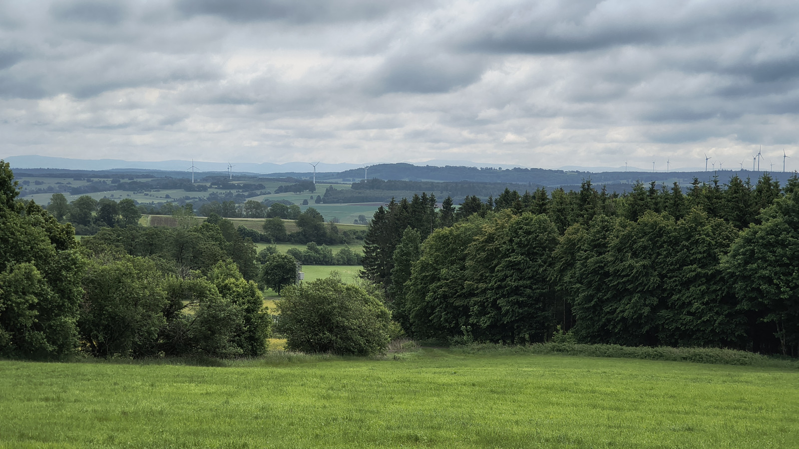 IMG_20250529_104516274_HDR