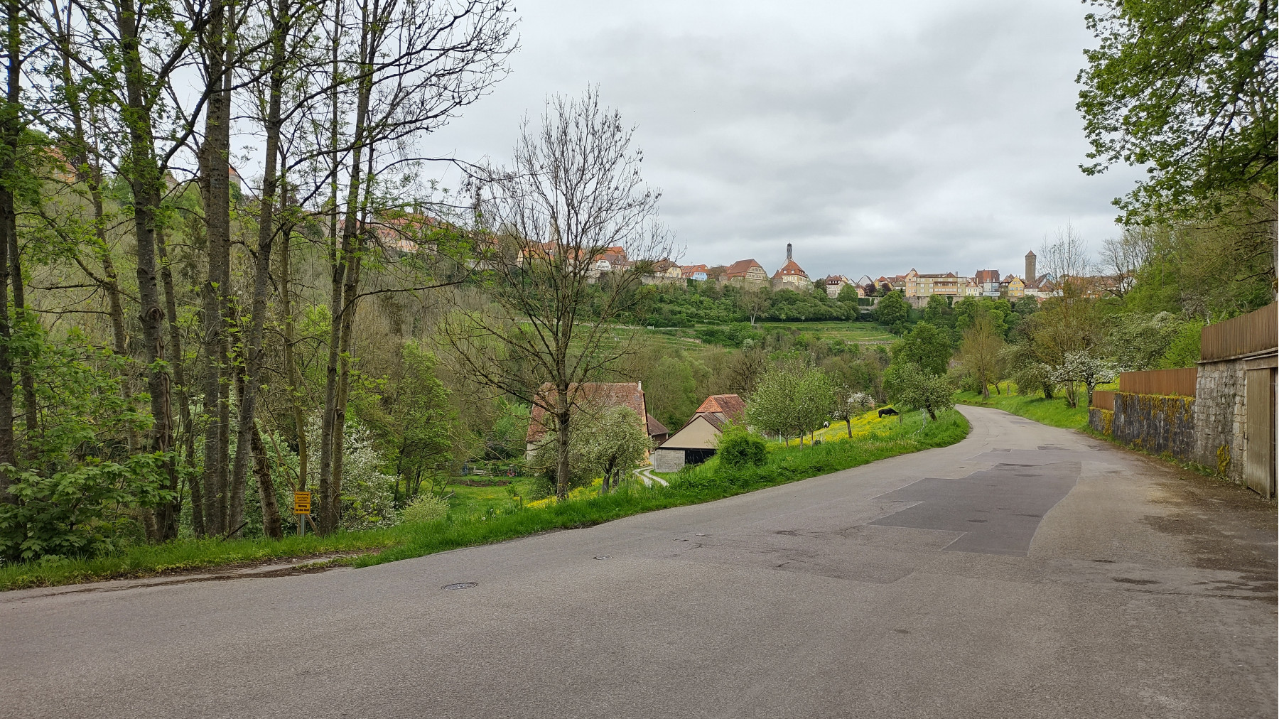 IMG_20240503_131605526_HDR