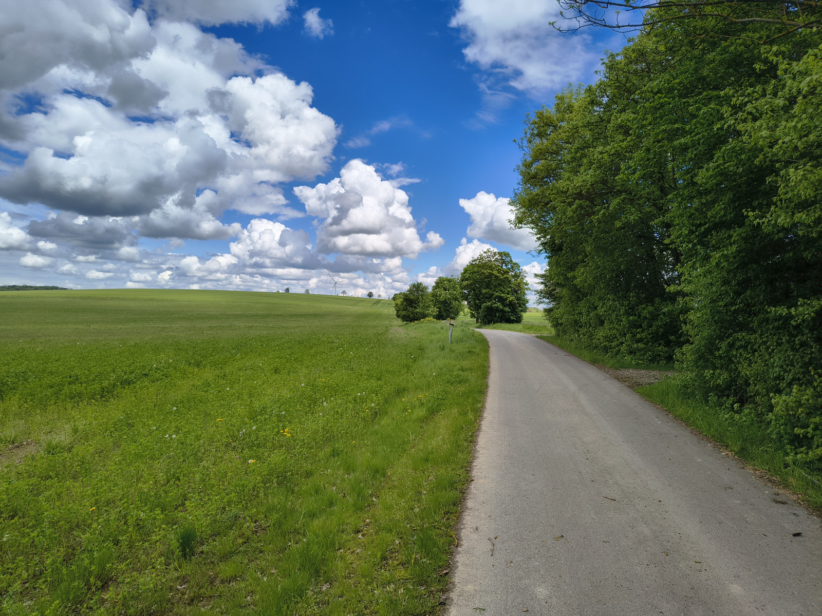 IMG_20260515_135158711_HDR IMG_20260515_135158711_HDR