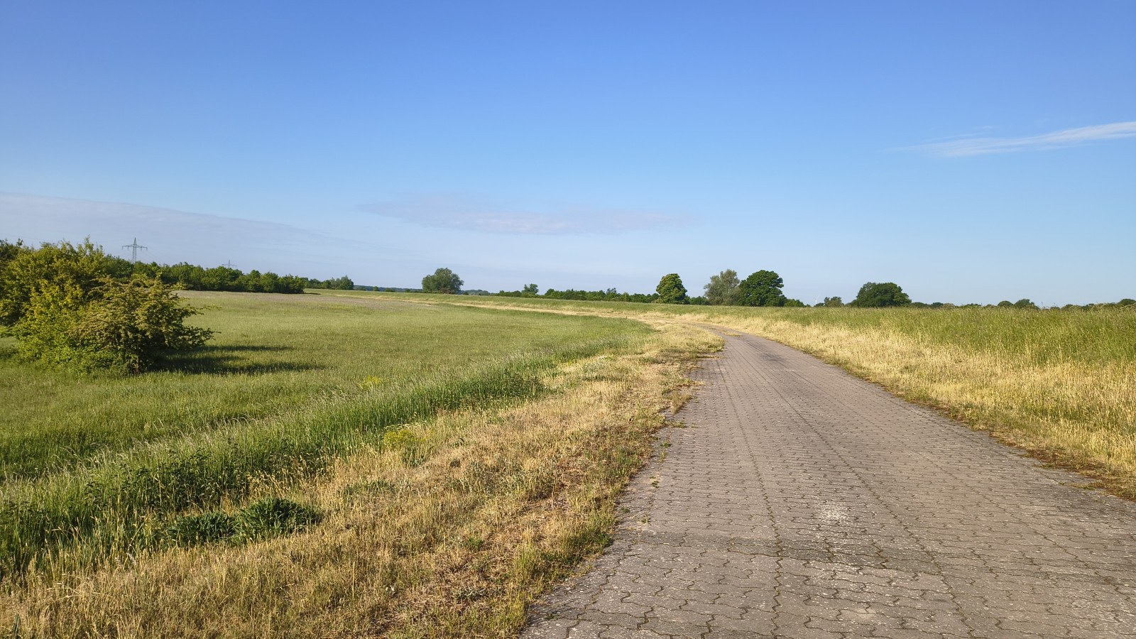 IMG_20250520_081255725_HDR