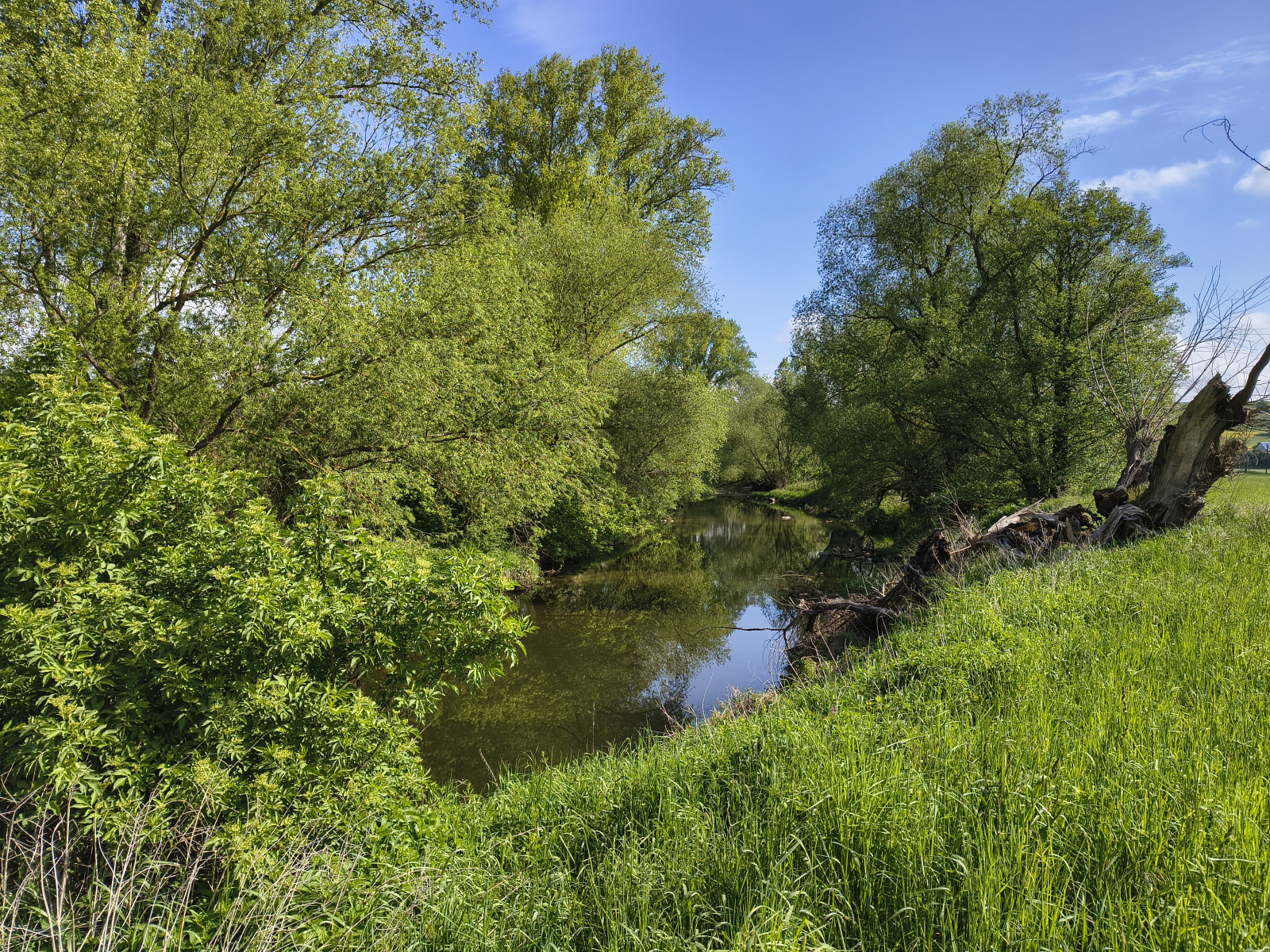 IMG_20260516_093714535_HDR
