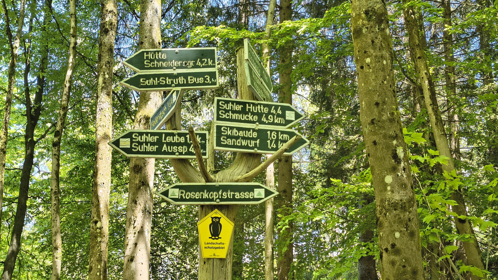 IMG_20250512_123405702_HDR