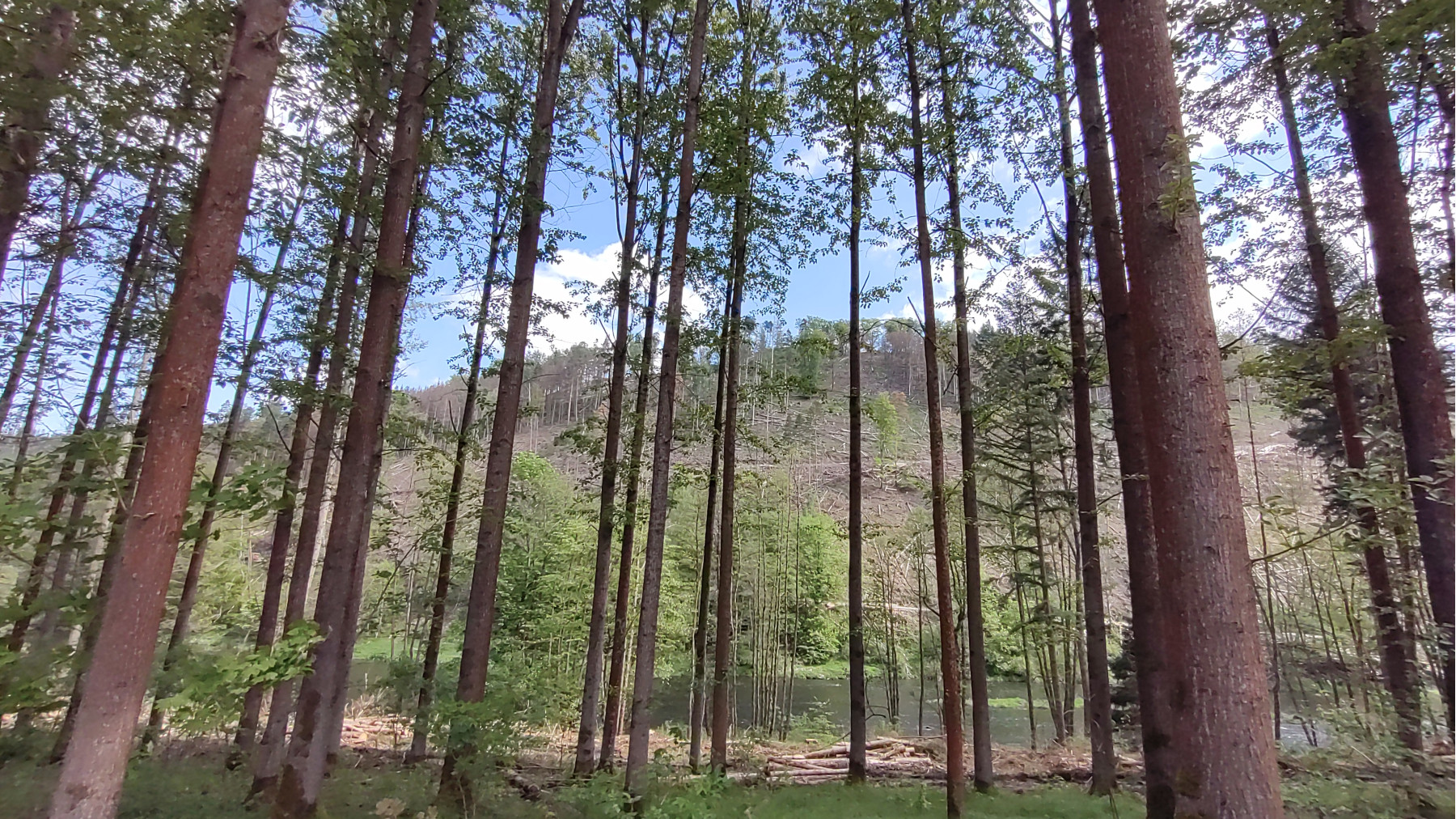 IMG_20240509_113351210