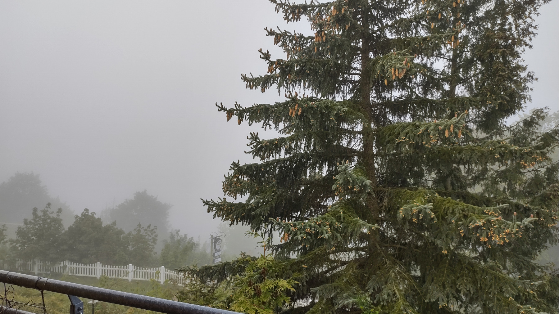 IMG_20240509_065311441_HDR