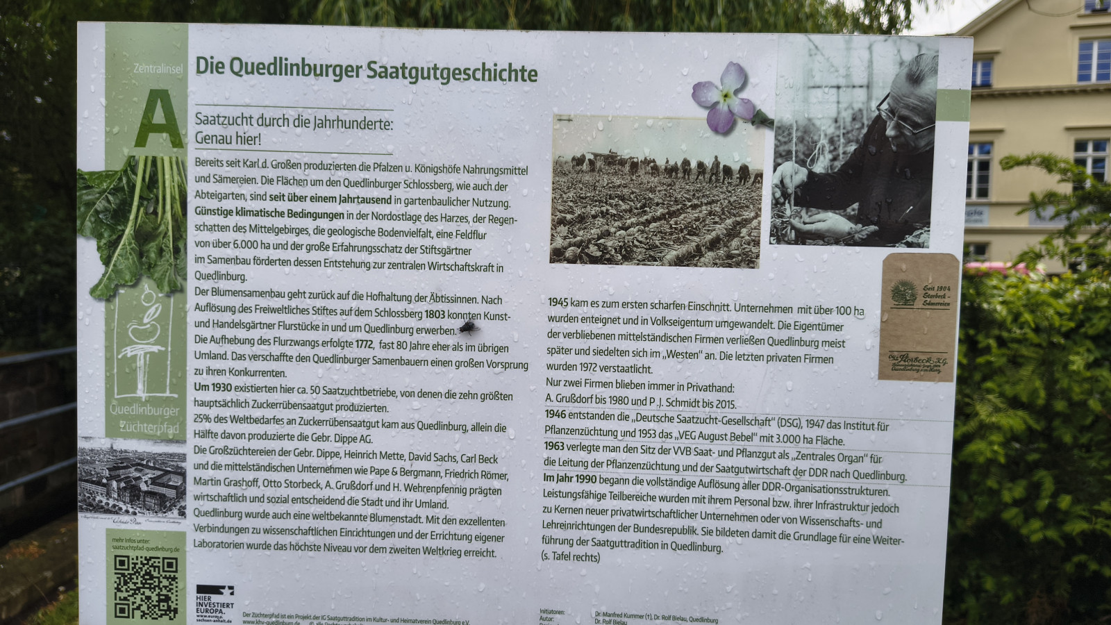 IMG_20250518_160338130_HDR