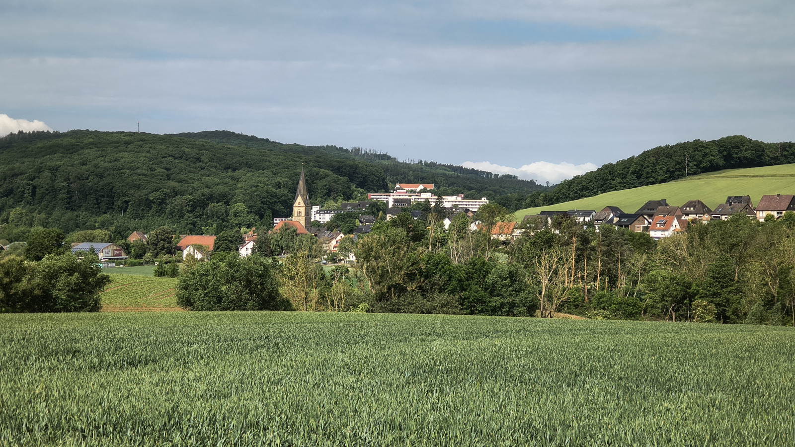 IMG_20250526_094321299_HDR