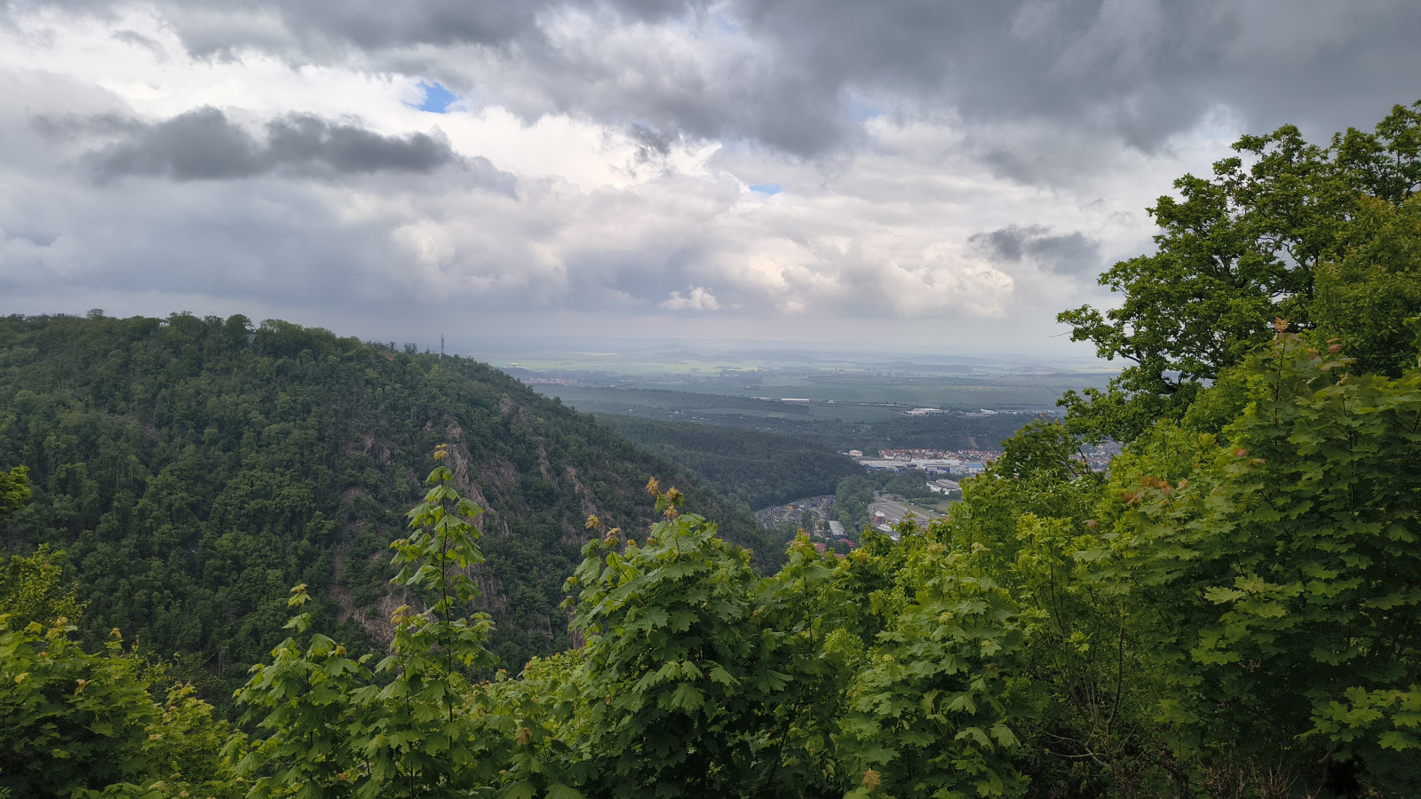 IMG_20250518_115351279_HDR