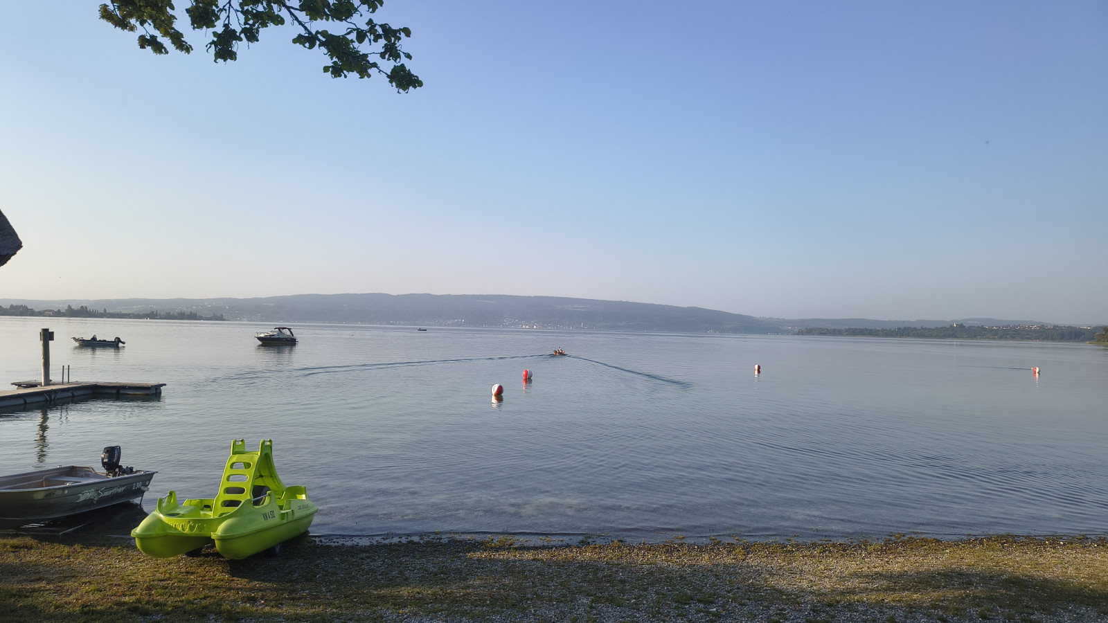 IMG_20250812_075339515_HDR