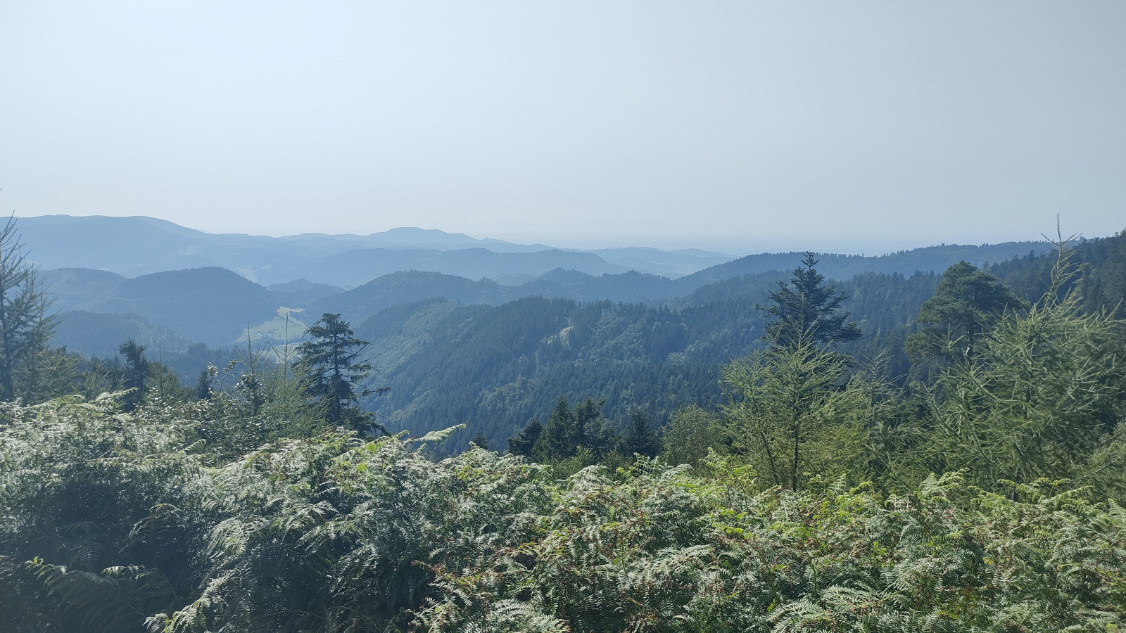 IMG_20250813_155247915_HDR