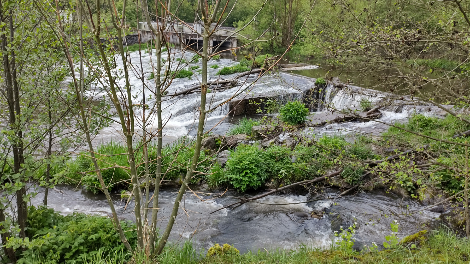 IMG_20240507_142829785_HDR IMG_20240507_142829785_HDR