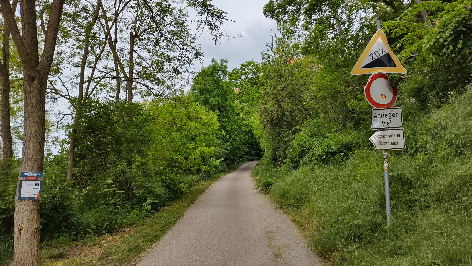 IMG_20250516_094641190_HDR