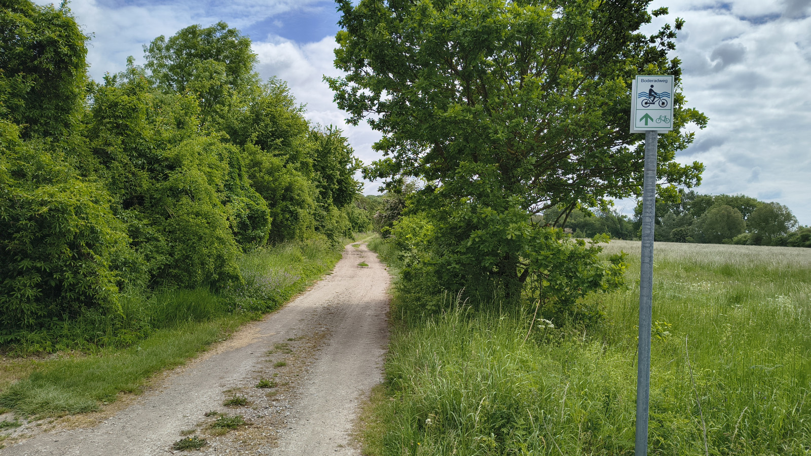 IMG_20250519_113806812_HDR