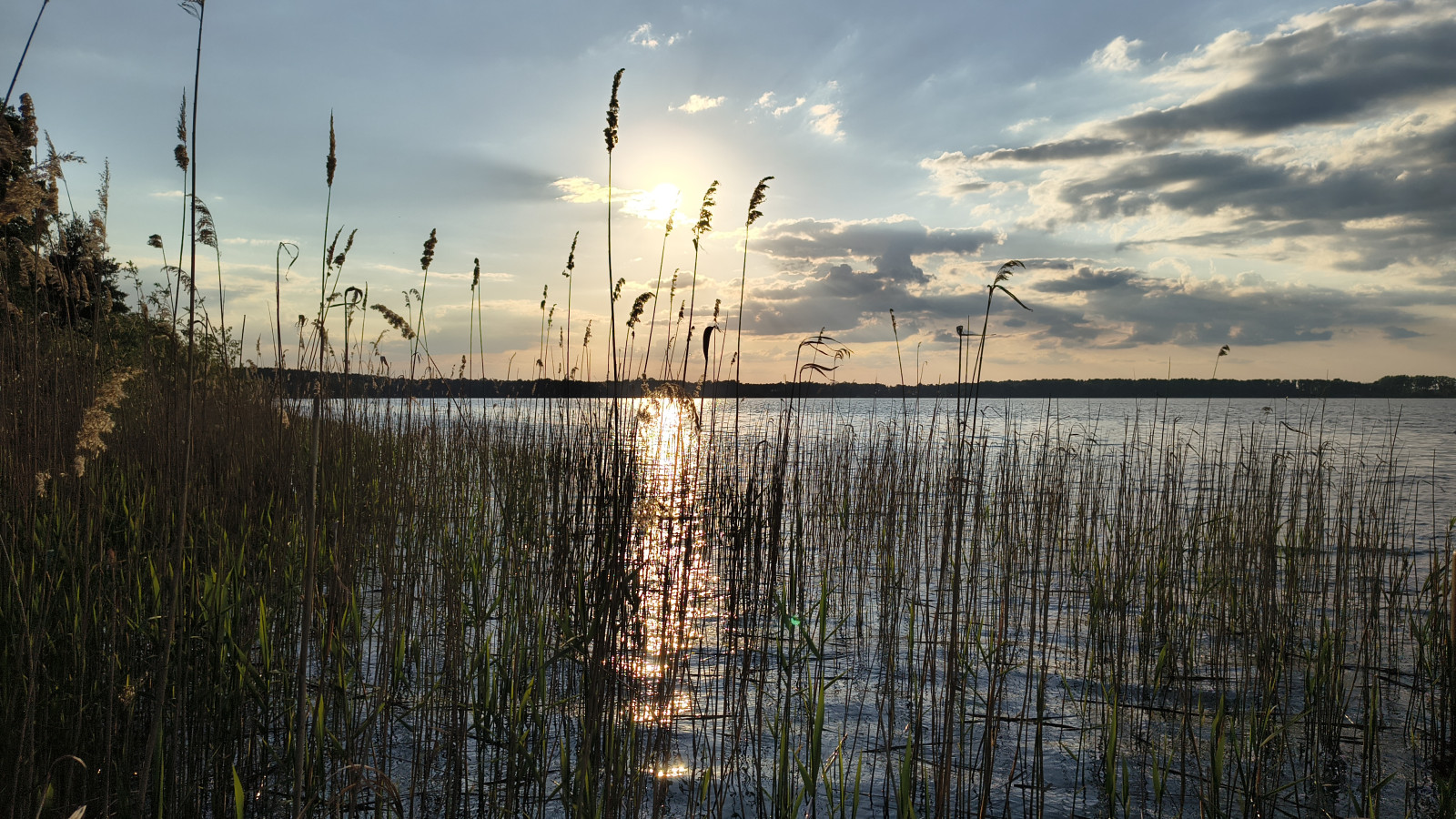 IMG_20250520_194417401_HDR IMG_20250520_194417401_HDR