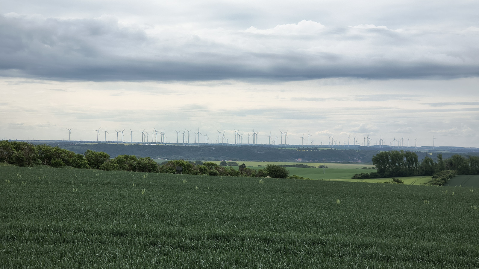 IMG_20250516_102531815_HDR