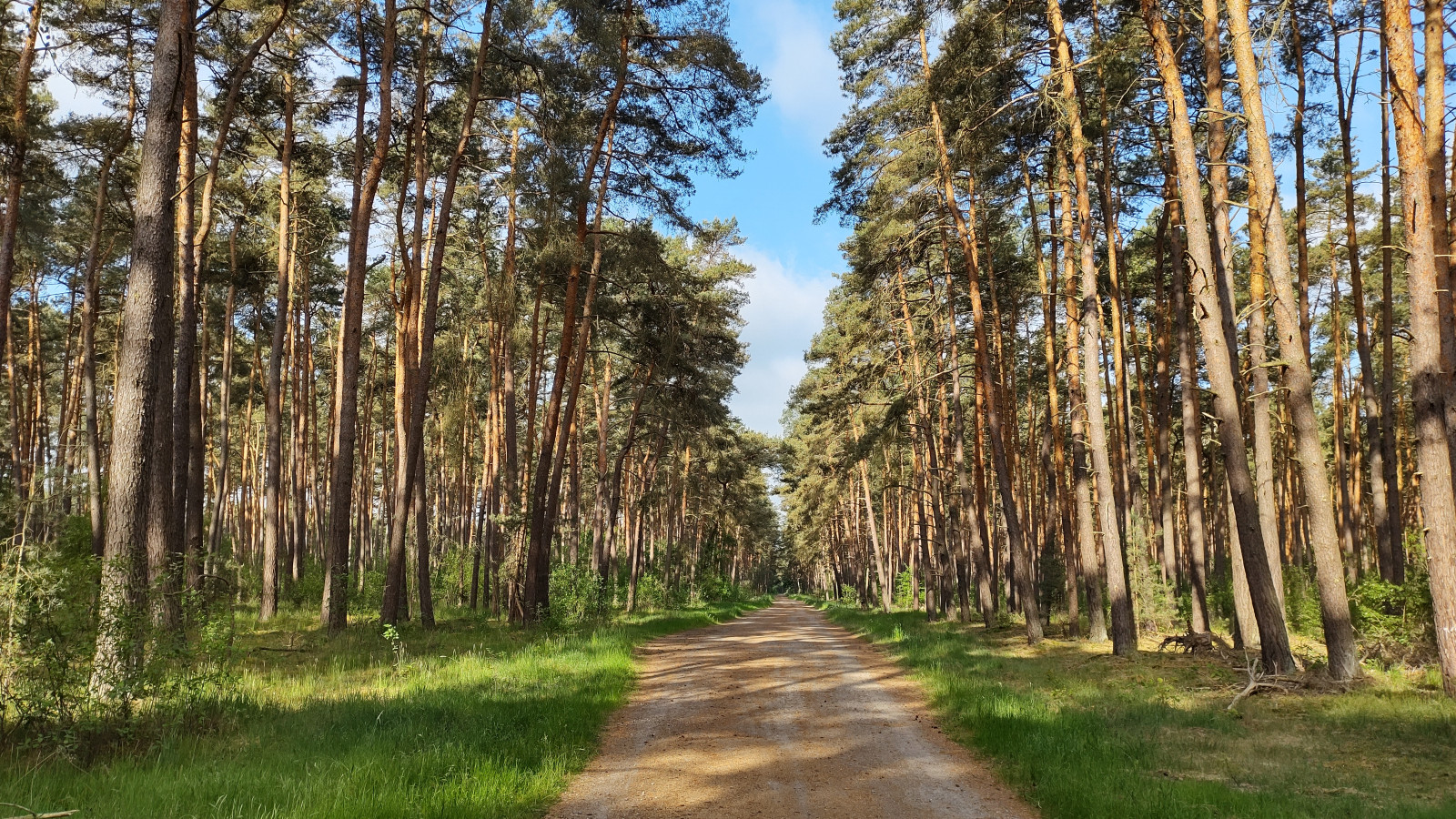 IMG_20250521_081950781_HDR