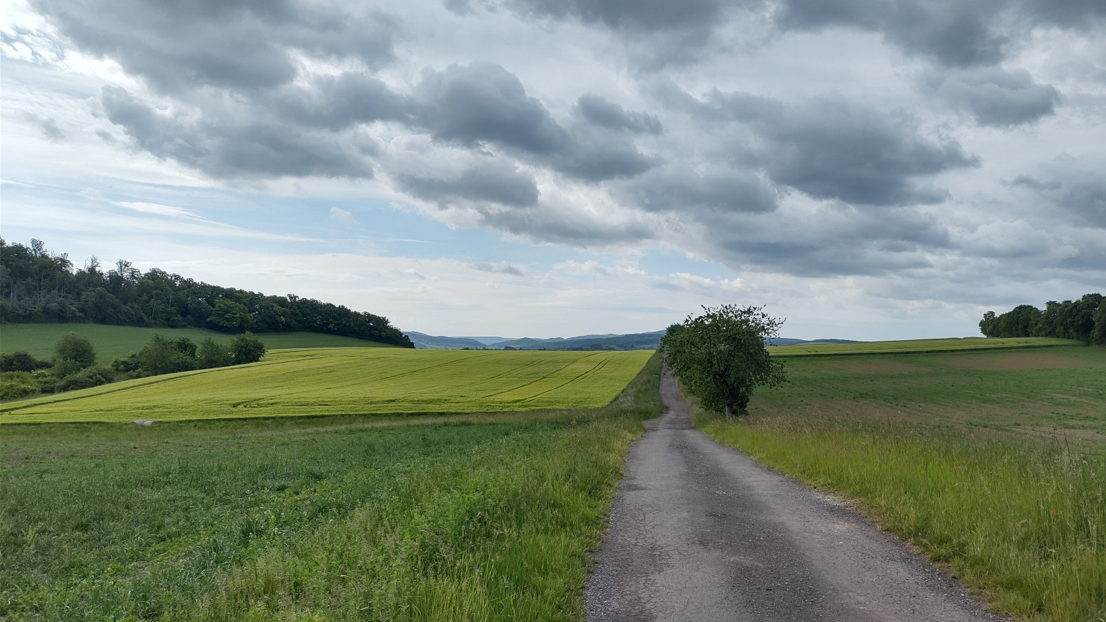 IMG_20250527_092817978_HDR