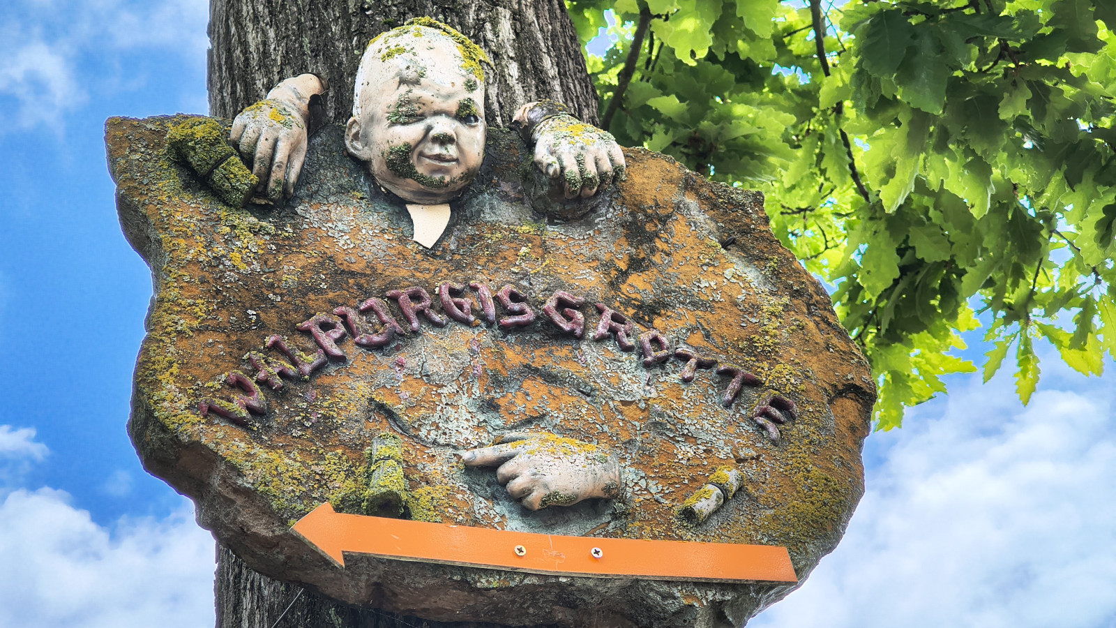 IMG_20250518_120911554_HDR