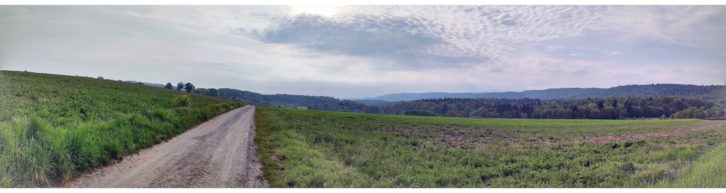 IMG_20240502_081640864_HDR-PANO