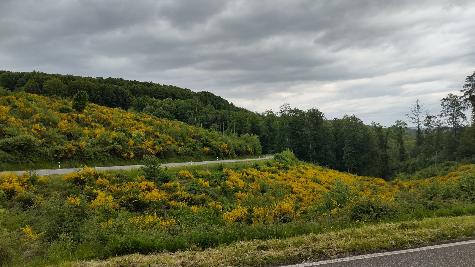 IMG_20250527_152649093_HDR