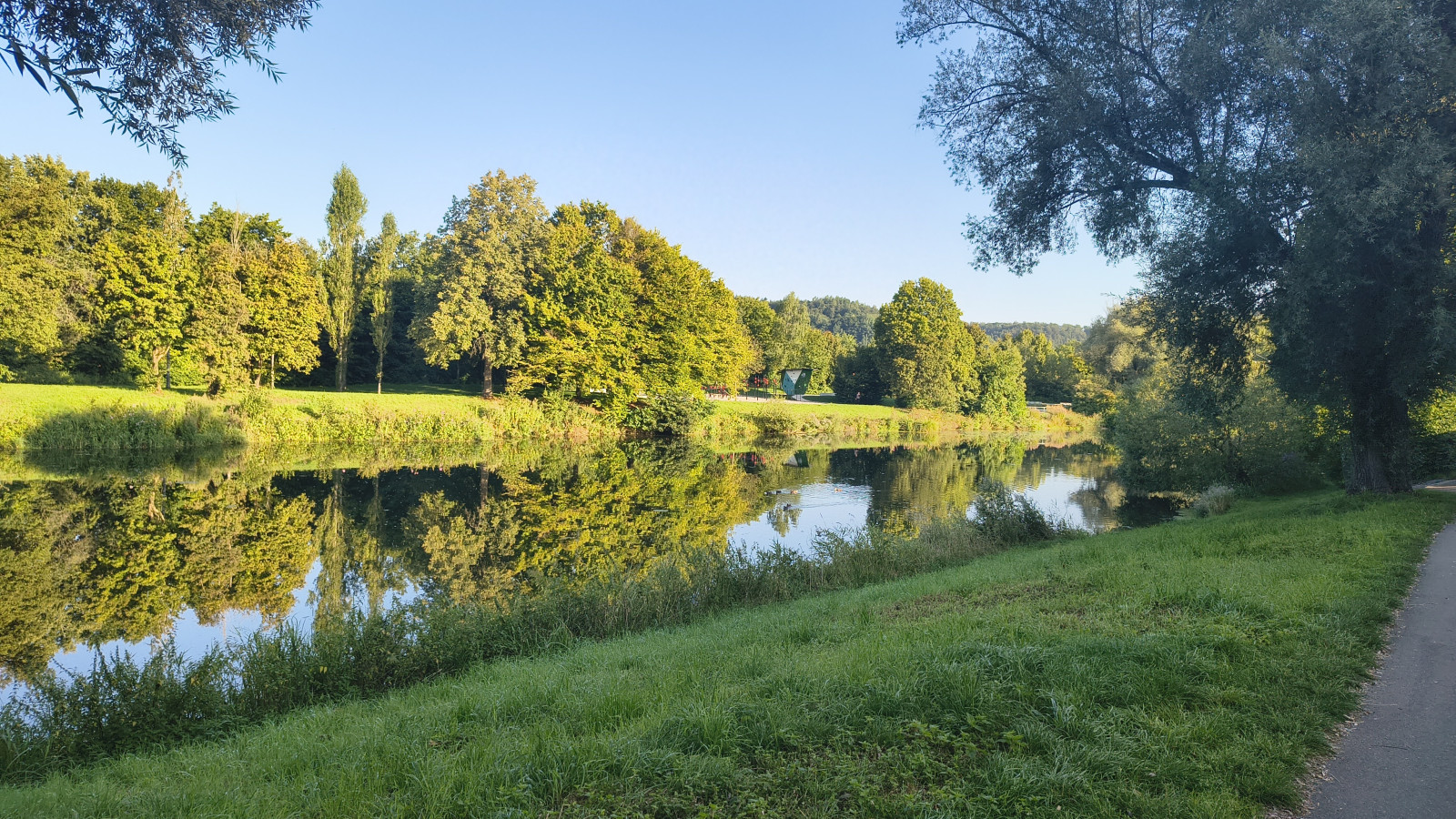 IMG_20250811_080347743_HDR