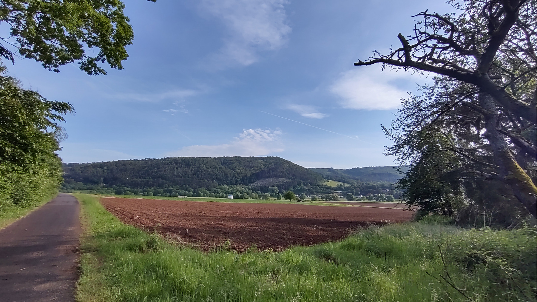 IMG_20240517_083930112_HDR