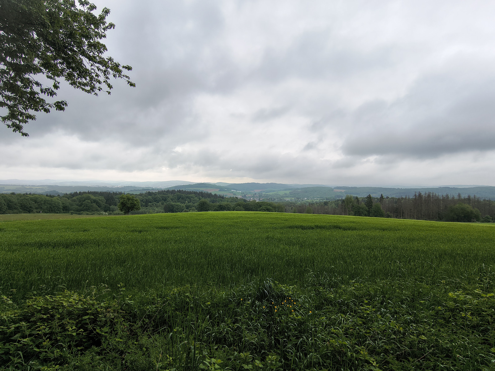 IMG_20260507_091244287_HDR IMG_20260507_091244287_HDR