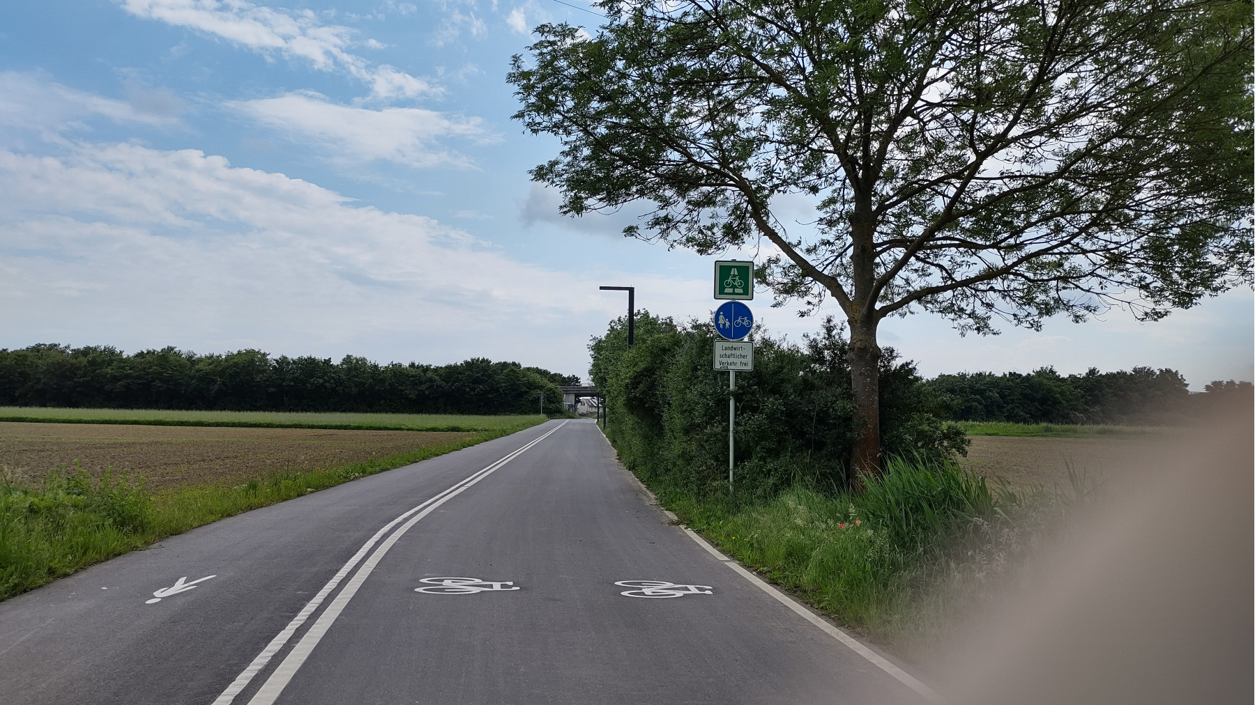 IMG_20240519_144557417_HDR IMG_20240519_144557417_HDR