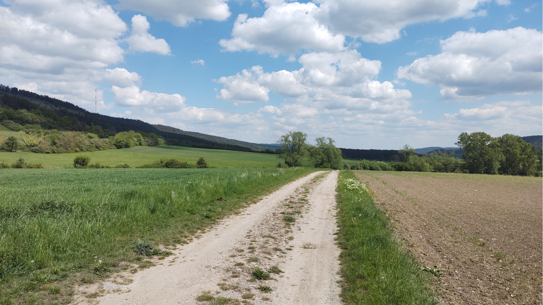 IMG_20240510_132936319