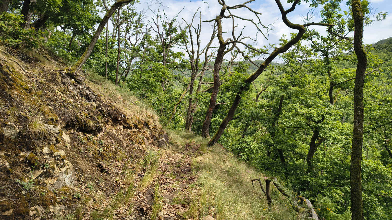 IMG_20250518_124637713_HDR