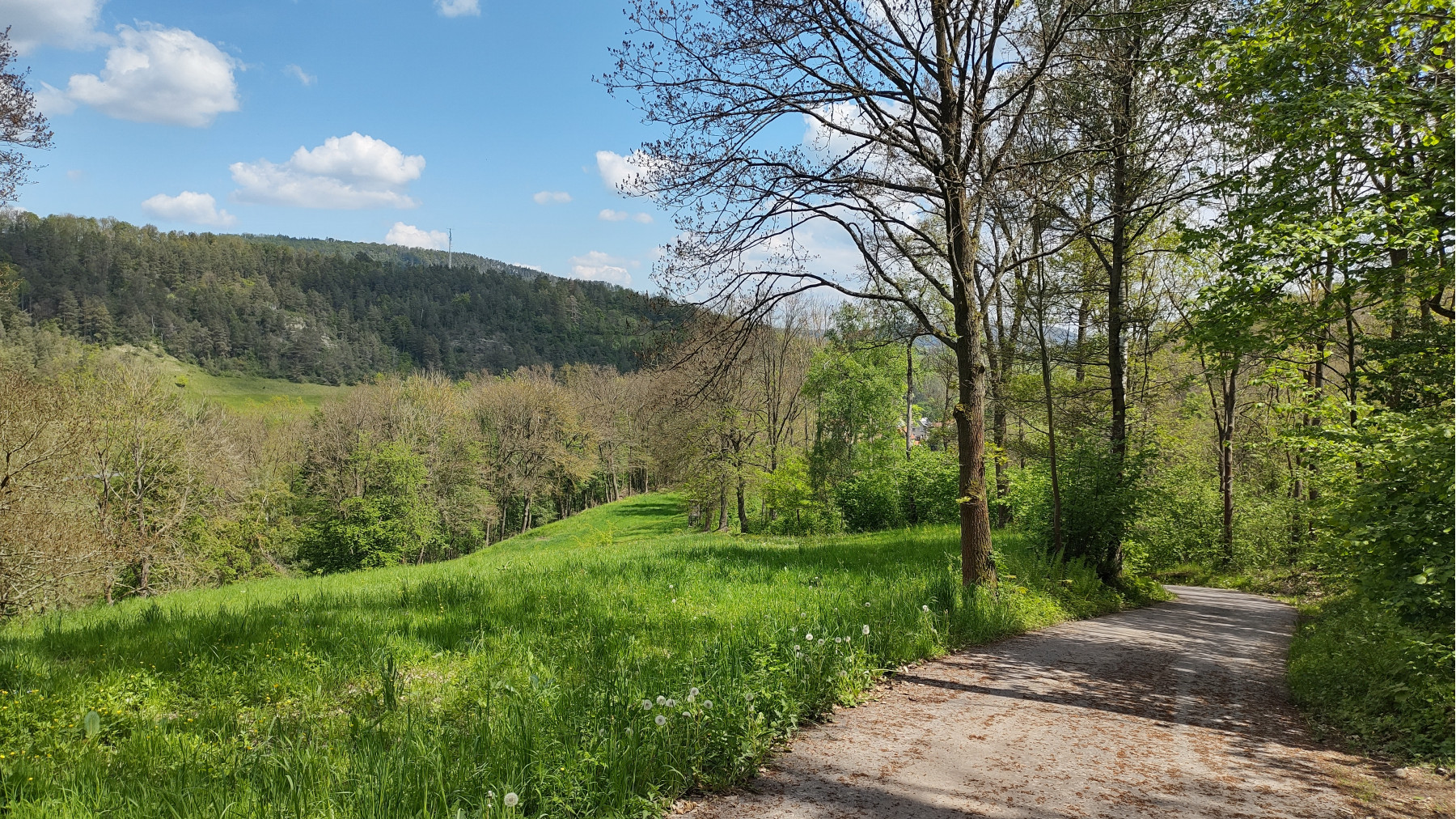 IMG_20240510_122444496_HDR