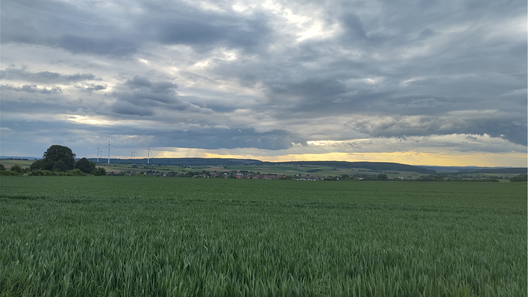 IMG_20240517_193056607_HDR