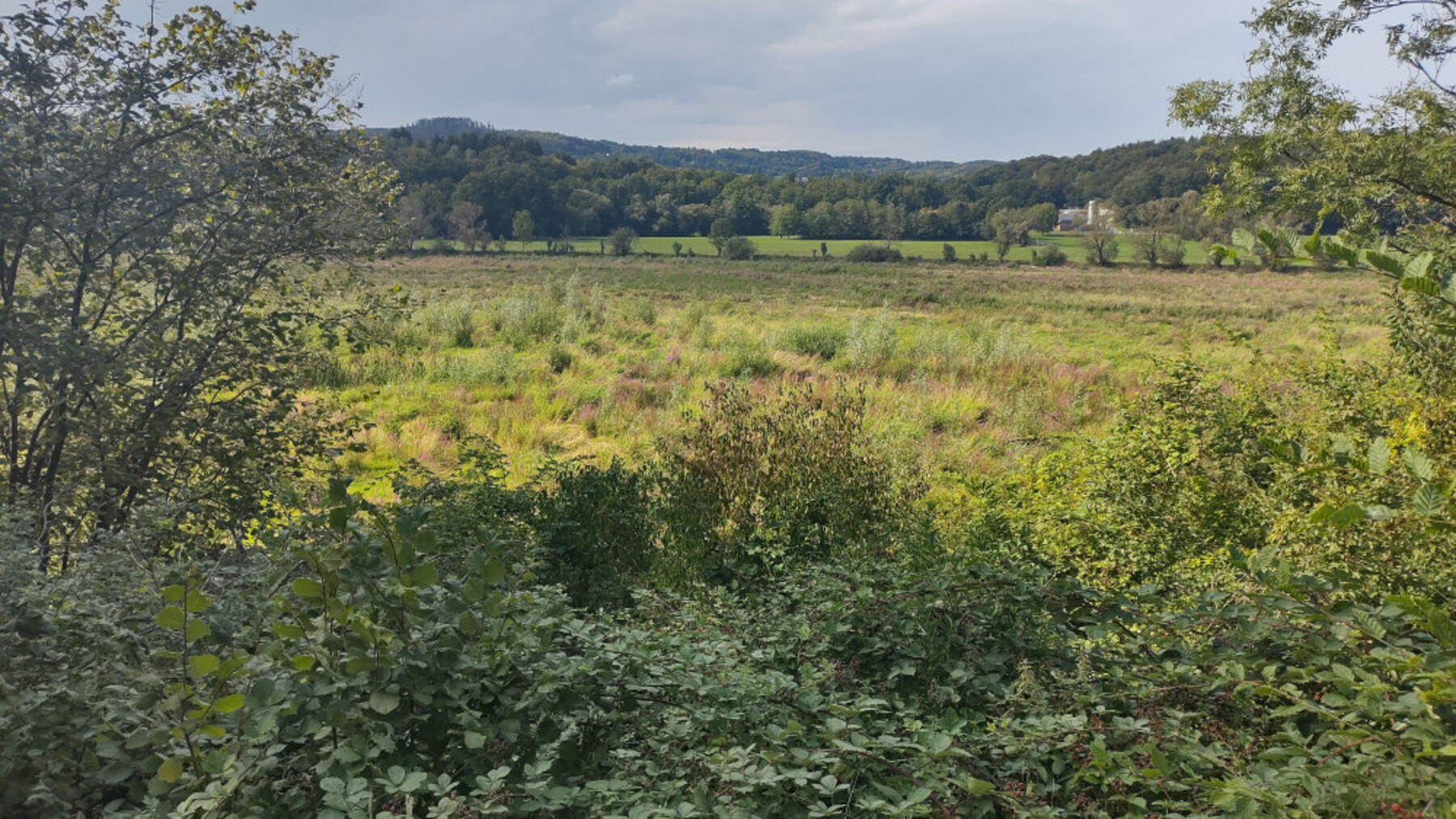 23.10IMG-20230814-162942988-HDR-1800