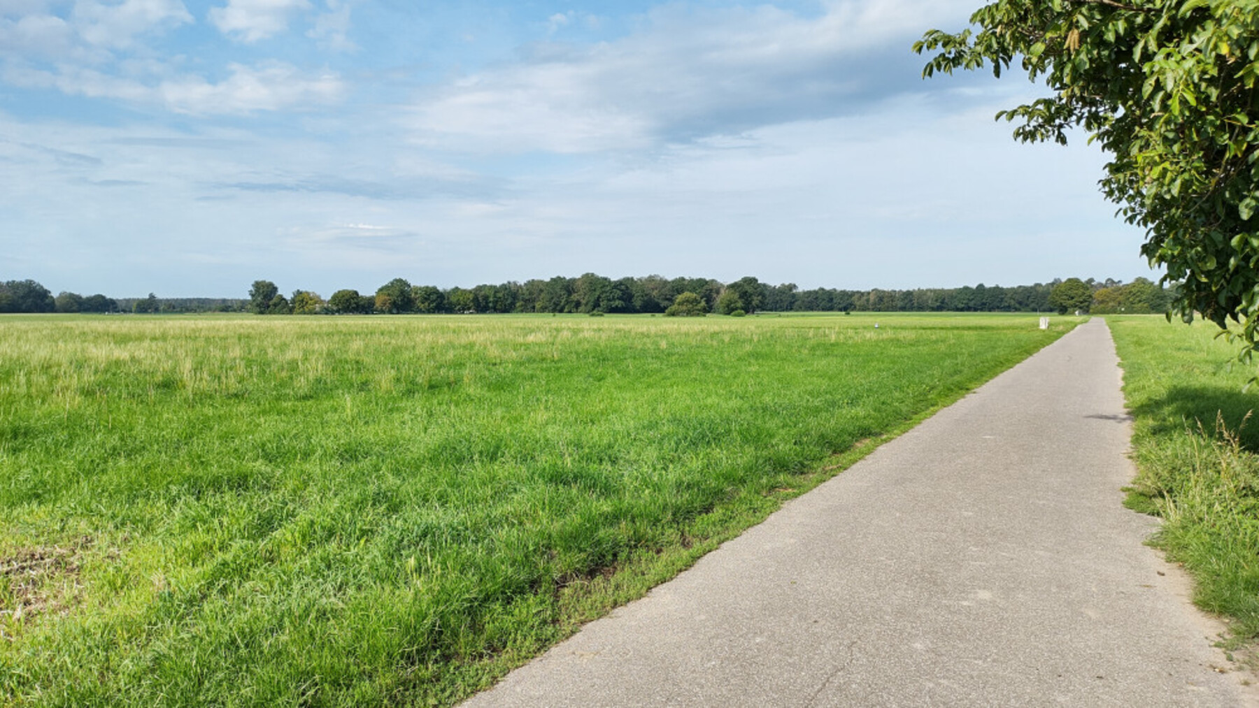 23.6IMG-20230814-093439913-HDR-1800 23.6IMG-20230814-093439913-HDR-1800