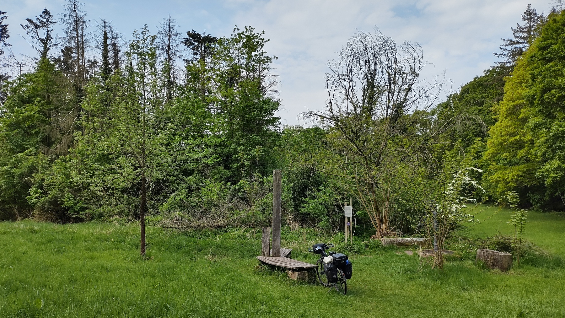 22-03-IMG-20220504-102456479-HDR-1800 22-03-IMG-20220504-102456479-HDR-1800