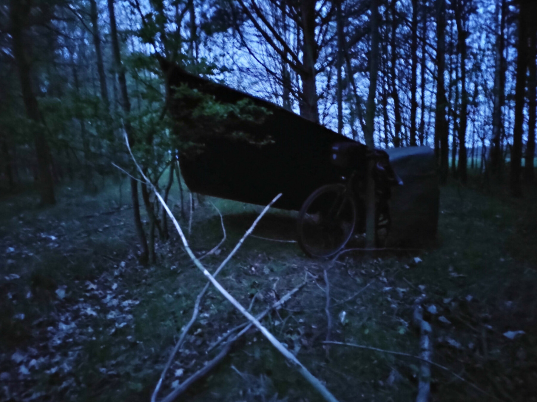 22-06-IMG-20220508-050534022-1800 22-06-IMG-20220508-050534022-1800