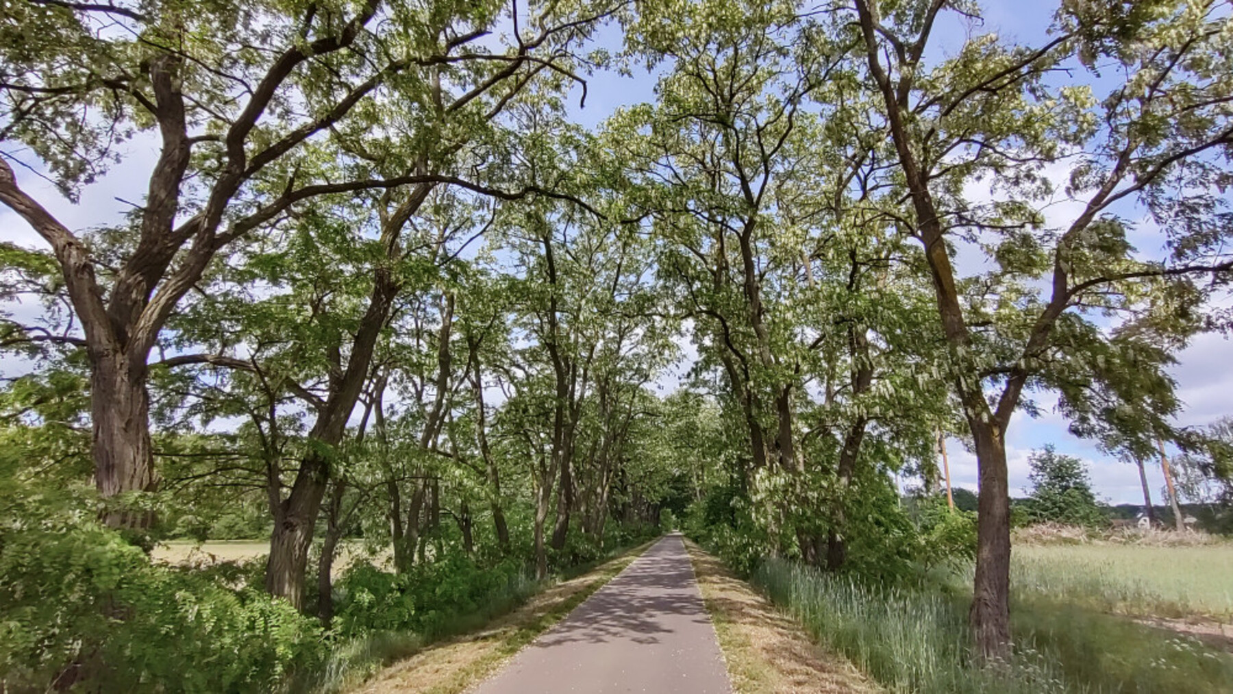 22-15b-IMG-20220522-101850894-HDR-1800 22-15b-IMG-20220522-101850894-HDR-1800