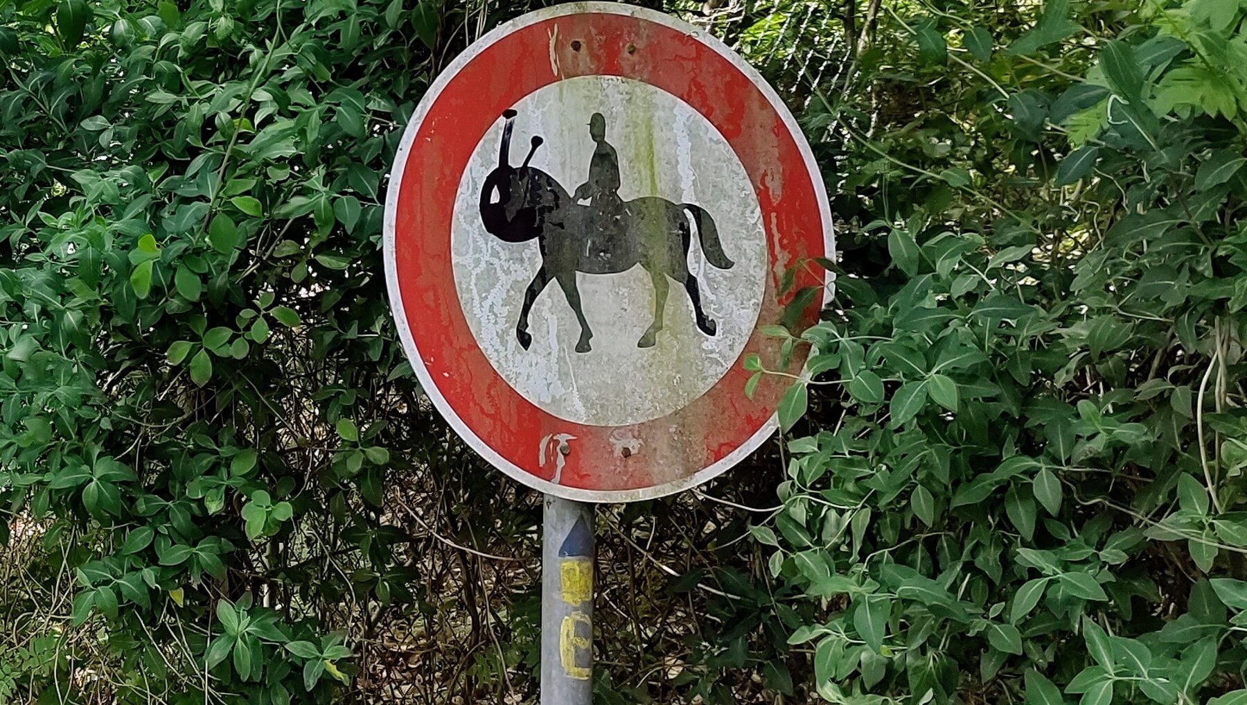 22-261654354021_IMG-20220603-121935543-HDR-1800 22-261654354021_IMG-20220603-121935543-HDR-1800