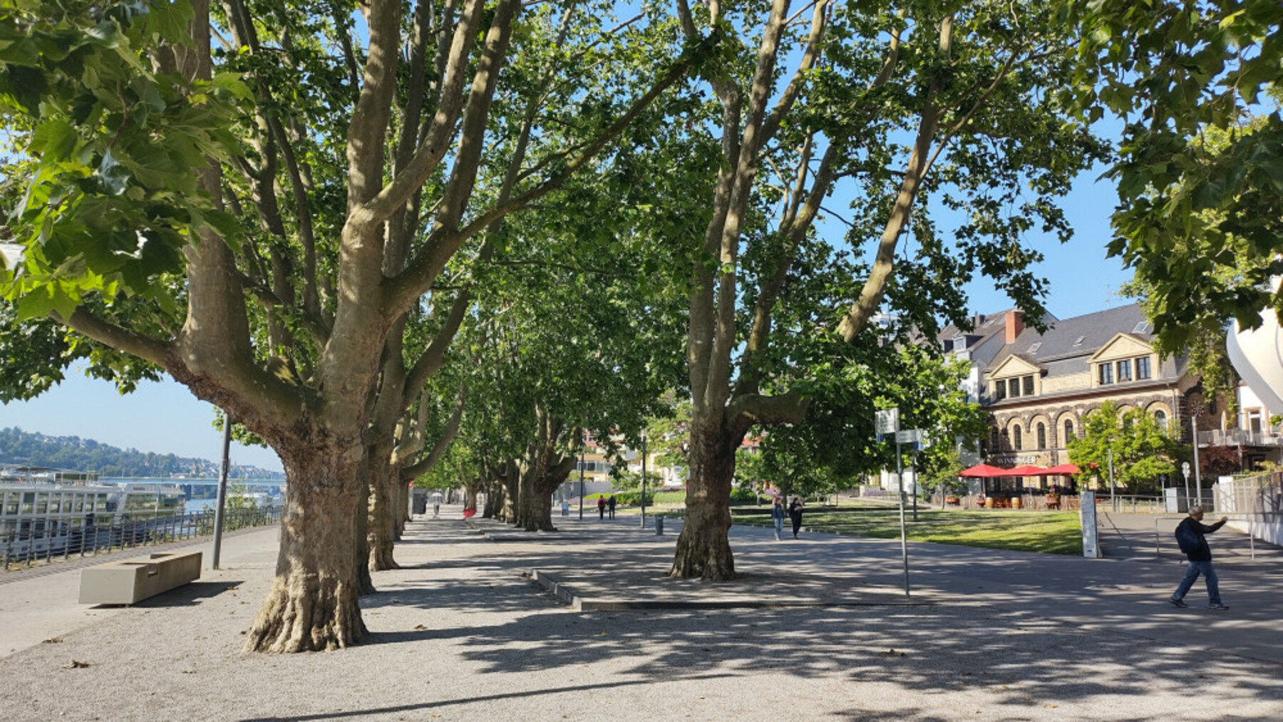 22endIMG-20220610-091526580-HDR-1800 22endIMG-20220610-091526580-HDR-1800