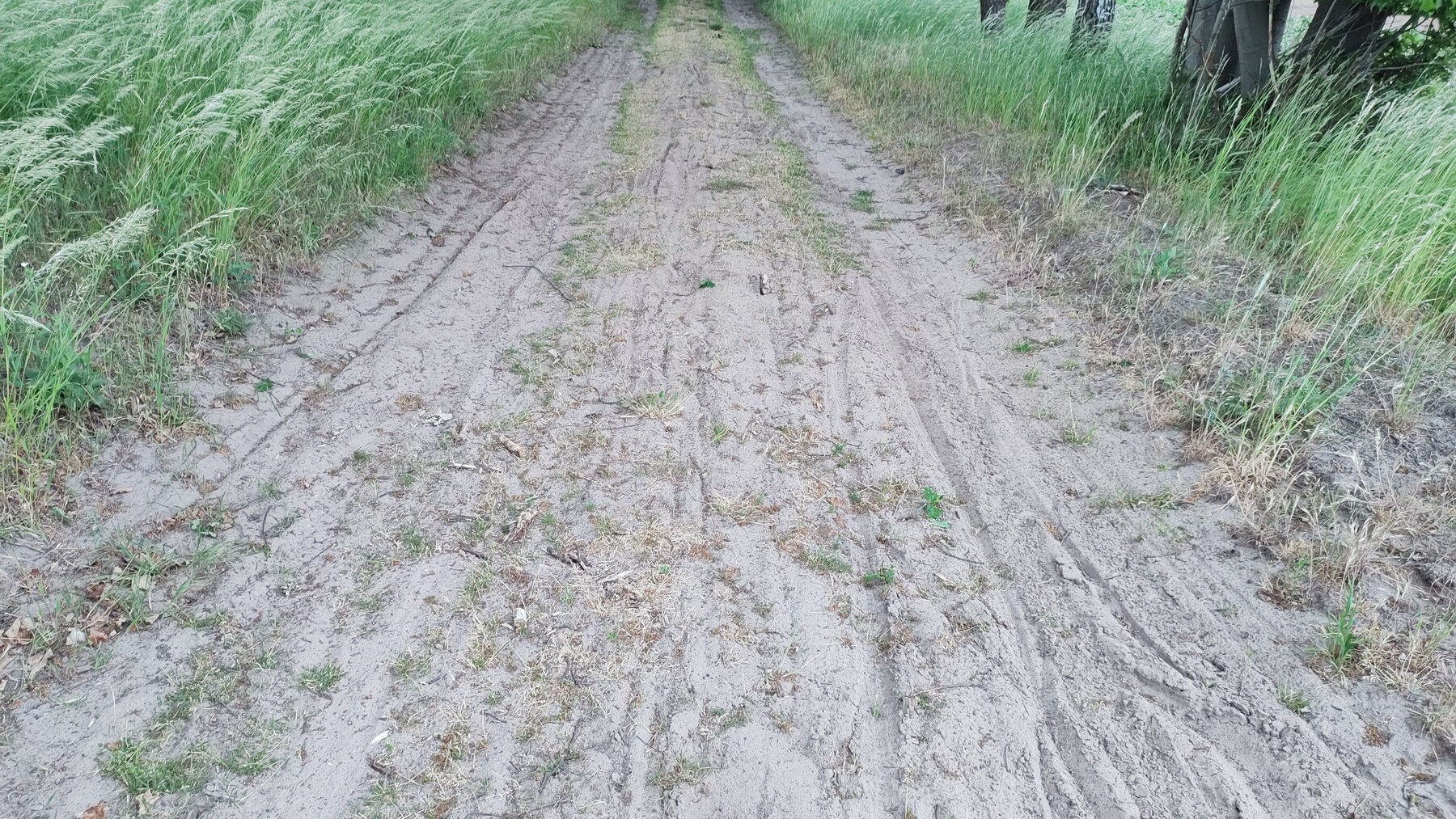 Sand Sand