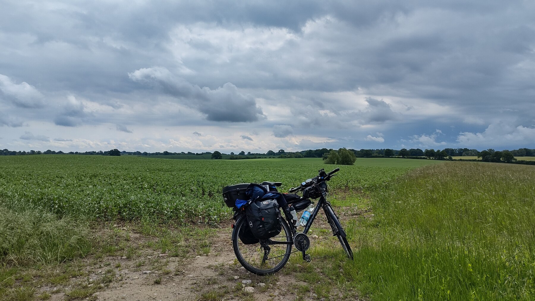 IMG_20220601_123914739_HDR-1800